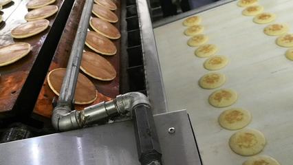 饼干机械品牌大全 国内外主流制造商深度解析